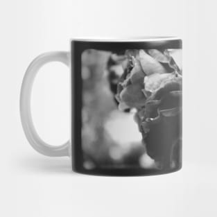 Two beautiful vintage roses on a black and white film Mug